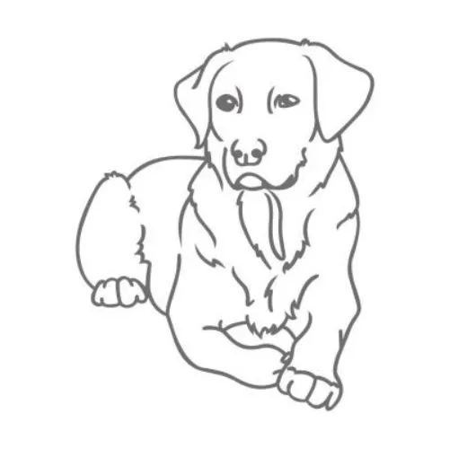 Hond afbeelding